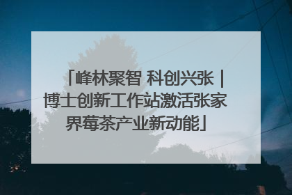 峰林聚智 科创兴张｜博士创新工作站激活张家界莓茶产业新动能