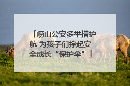 崂山公安多举措护航 为孩子们撑起安全成长“保护伞”