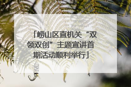 崂山区直机关“双领双创”主题宣讲首期活动顺利举行
