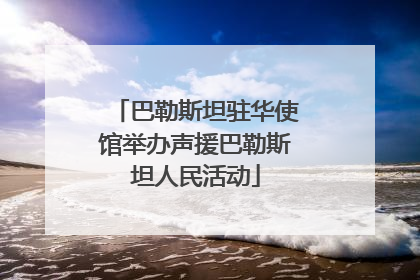 巴勒斯坦驻华使馆举办声援巴勒斯坦人民活动