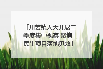 川姜镇人大开展二季度集中视察 聚焦民生项目落地见效