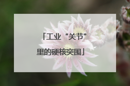 工业“关节”里的硬核突围