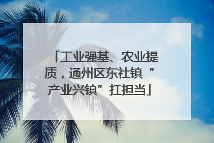 工业强基、农业提质，通州区东社镇“产业兴镇”扛担当