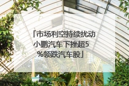 市场利空持续扰动 小鹏汽车下挫超5%领跌汽车股