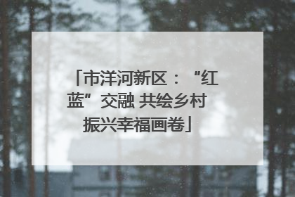 市洋河新区：“红蓝”交融 共绘乡村振兴幸福画卷
