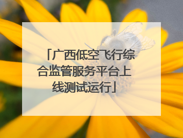 广西低空飞行综合监管服务平台上线测试运行
