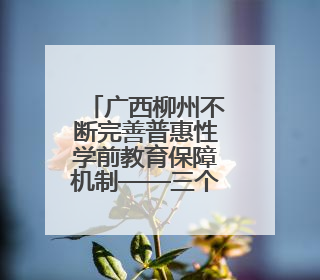 广西柳州不断完善普惠性学前教育保障机制——三个优化绘就学前教育新图景