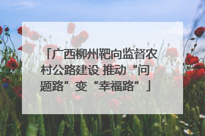 广西柳州靶向监督农村公路建设 推动“问题路”变“幸福路”