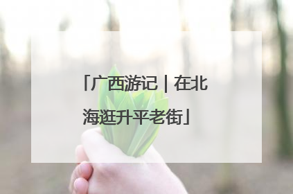 广西游记｜在北海逛升平老街