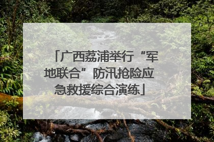 广西荔浦举行“军地联合”防汛抢险应急救援综合演练