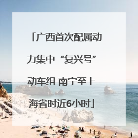 广西首次配属动力集中“复兴号”动车组 南宁至上海省时近6小时