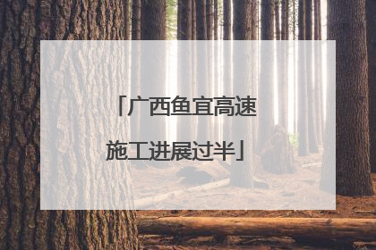 广西鱼宜高速施工进展过半