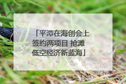 平潭在海创会上签约两项目 抢滩低空经济新蓝海