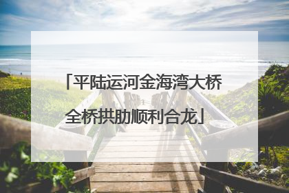 平陆运河金海湾大桥全桥拱肋顺利合龙