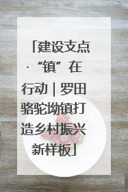 建设支点·“镇”在行动｜罗田骆驼坳镇打造乡村振兴新样板