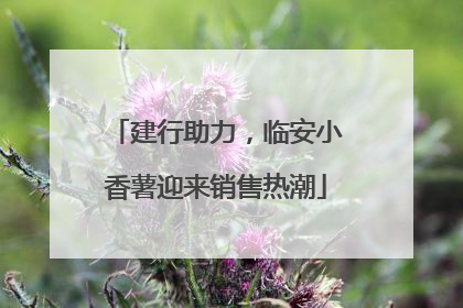 建行助力，临安小香薯迎来销售热潮