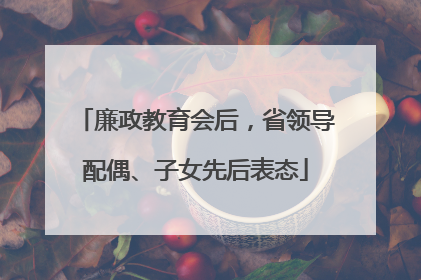 廉政教育会后，省领导配偶、子女先后表态