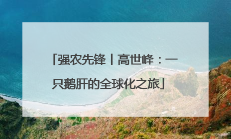 强农先锋丨高世峰：一只鹅肝的全球化之旅