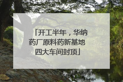 开工半年，华纳药厂原料药新基地四大车间封顶