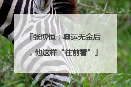 张博恒：奥运无金后，他这样“往前看”