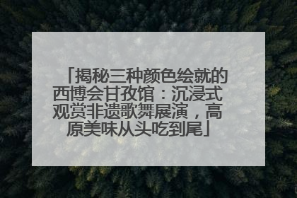 揭秘三种颜色绘就的西博会甘孜馆：沉浸式观赏非遗歌舞展演，高原美味从头吃到尾