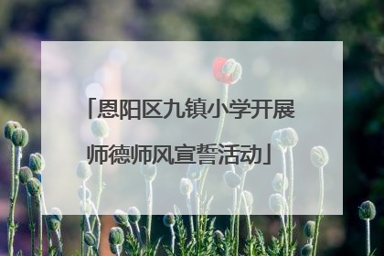 恩阳区九镇小学开展师德师风宣誓活动