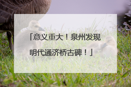 意义重大！泉州发现明代通济桥古碑！
