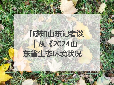 感知山东记者谈｜从《2024山东省生态环境状况公报》看美丽山东建设的“成绩单”与“任务书”