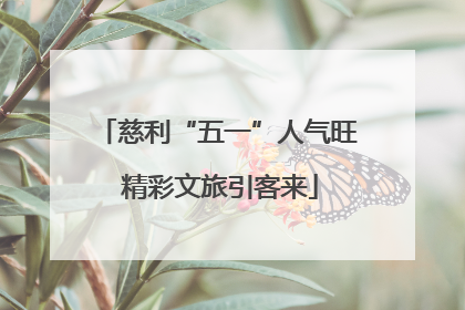 慈利“五一”人气旺 精彩文旅引客来