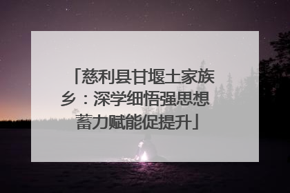 慈利县甘堰土家族乡：深学细悟强思想 蓄力赋能促提升