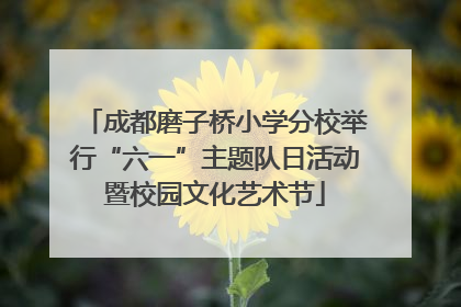 成都磨子桥小学分校举行“六一”主题队日活动暨校园文化艺术节