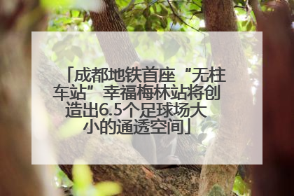 成都地铁首座“无柱车站”幸福梅林站将创造出6.5个足球场大小的通透空间