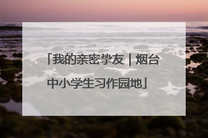 我的亲密挚友｜烟台中小学生习作园地