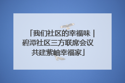 我们社区的幸福味｜碧潭社区三方联席会议共建紫岫幸福家