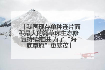 我国现存单种连片面积最大的海草床生态修复持续推进 为了“海底草原”更繁茂