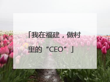 我在福建，做村里的“CEO”