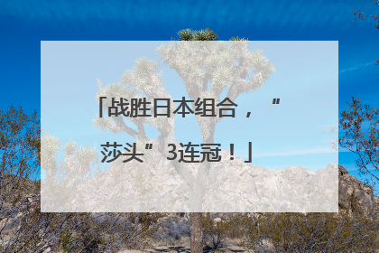 战胜日本组合，“莎头”3连冠！