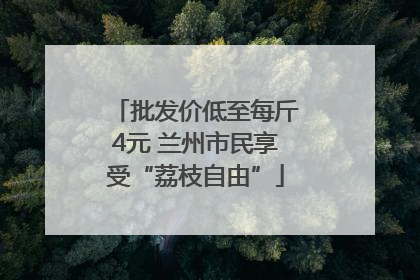 批发价低至每斤4元 兰州市民享受“荔枝自由”