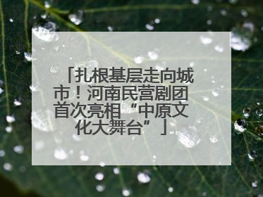 扎根基层走向城市！河南民营剧团首次亮相“中原文化大舞台”