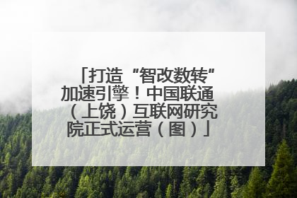打造“智改数转”加速引擎！中国联通（上饶）互联网研究院正式运营（图）