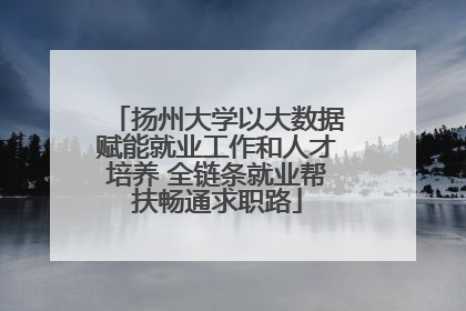 扬州大学以大数据赋能就业工作和人才培养 全链条就业帮扶畅通求职路
