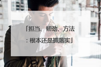 担当、韧劲、方法：根本还是抓落实
