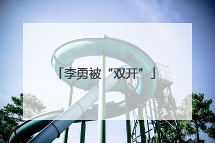 李勇被“双开”