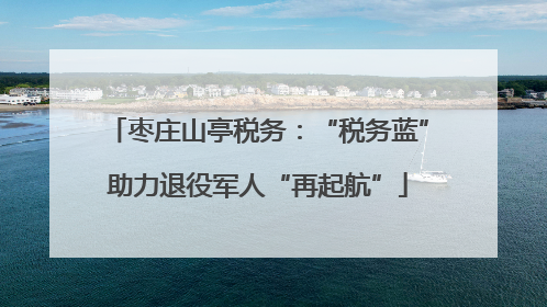 枣庄山亭税务：“税务蓝”助力退役军人“再起航”