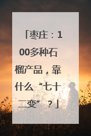 枣庄：100多种石榴产品，靠什么“七十二变”？