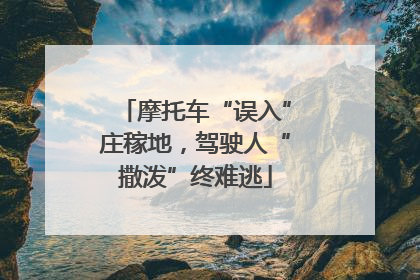 摩托车“误入”庄稼地，驾驶人“撒泼”终难逃
