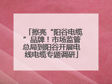 擦亮“阳谷电缆”品牌！市场监管总局到阳谷开展电线电缆专题调研