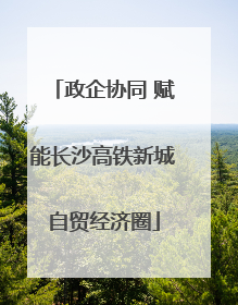 政企协同 赋能长沙高铁新城自贸经济圈