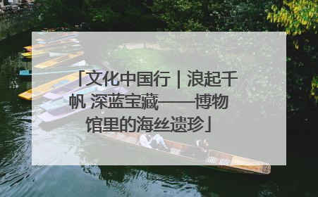 文化中国行｜浪起千帆 深蓝宝藏——博物馆里的海丝遗珍