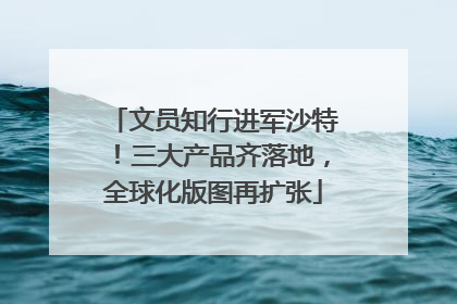 文员知行进军沙特！三大产品齐落地，全球化版图再扩张